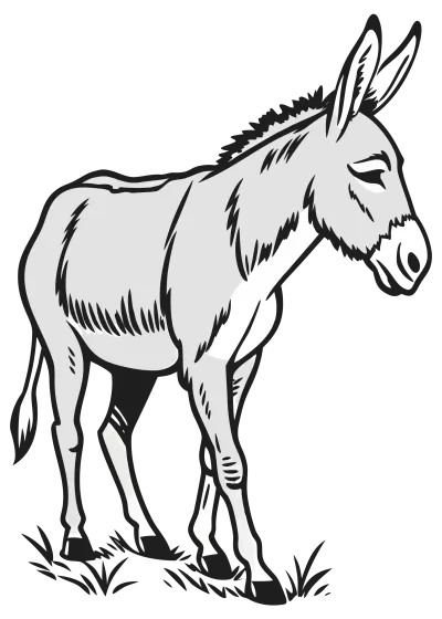 Imagen PNG para descargar